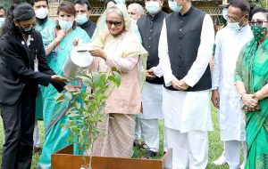 দেশকে আরো সবুজ করতে ৩টি করে গাছ লাগান : প্রধানমন্ত্রী