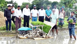 মুরাদনগরে রাইস ট্রান্সপ্লান্টার মেশিনে ধানের চারা রোপণ