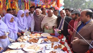 মুরাদনগরে গ্রামীণ ঐতিহ্যের শীতকালীন পিঠা উৎসব