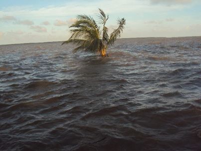 মনপুরায় বঙ্গবন্ধুর চিন্তানিবাসের নির্ধারিত স্থান নদী গর্ভে বিলীন