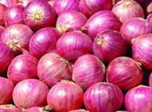 মায়ানমার থেকে পেঁয়াজ আমদানির উদ্যোগ