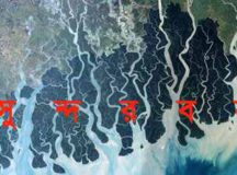 সুন্দরবনে দস্যু-কোস্টগার্ড বন্দুকযুদ্ধ