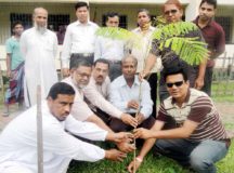 গৌরনদীতে চেয়ারম্যান গার্ডেনের উদ্বোধণ