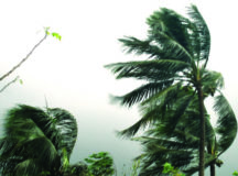 সাতক্ষীরায় টর্নেডোর আঘাতে পাঁচ গ্রাম লণ্ডভণ্ড